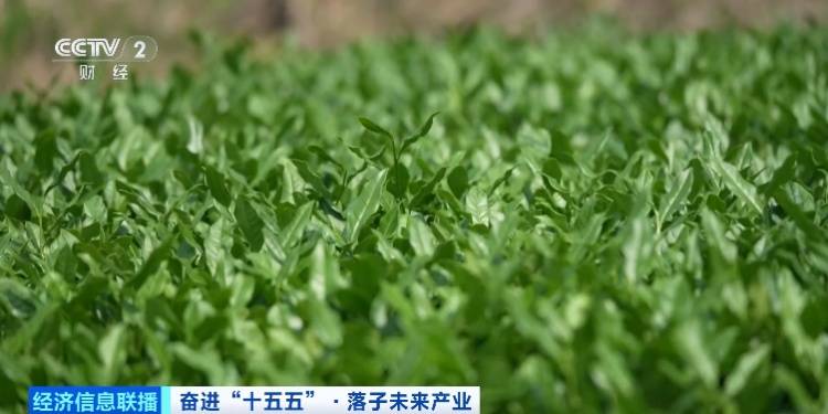 摆脱对石油、天然气依赖！这一超10000亿元大产业，爆发！
