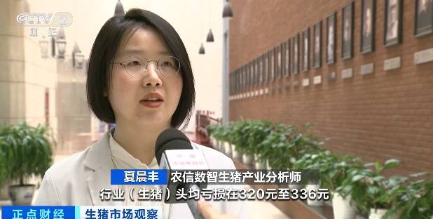降降降！猪价跌至近10年低位！什么情况？