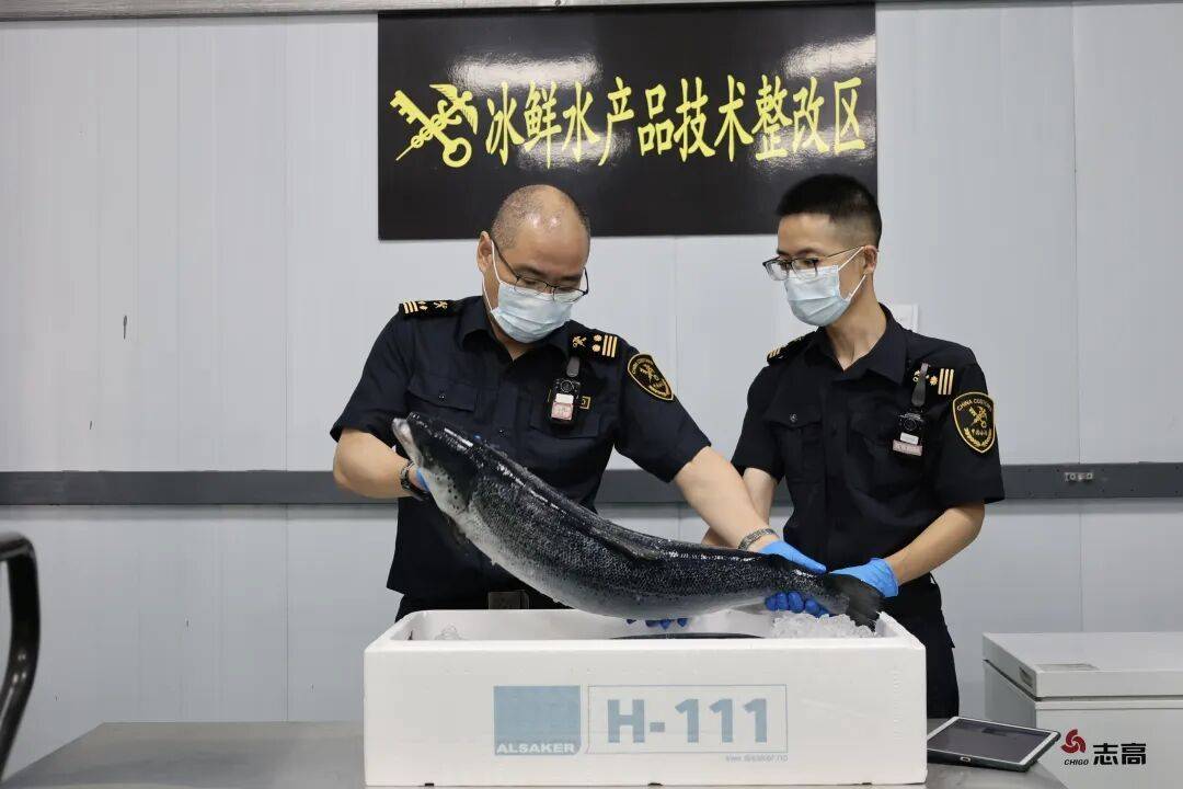南京，再添一条新航线！