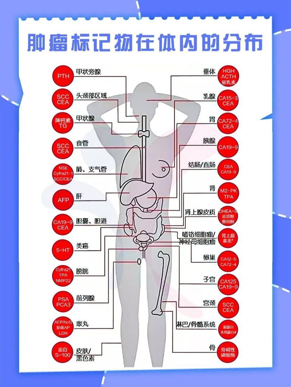 肿瘤标志物升高就是癌症吗？